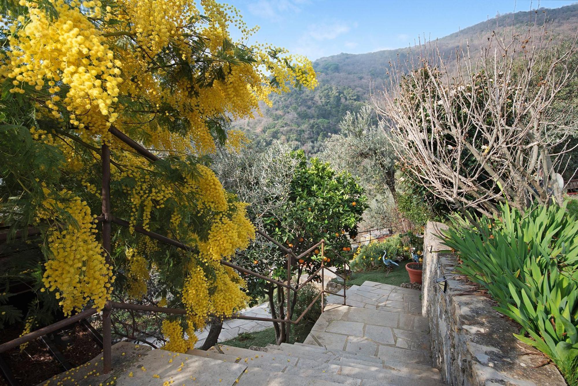 Apartmán Ca' Du Massunin Recco Exteriér fotografie